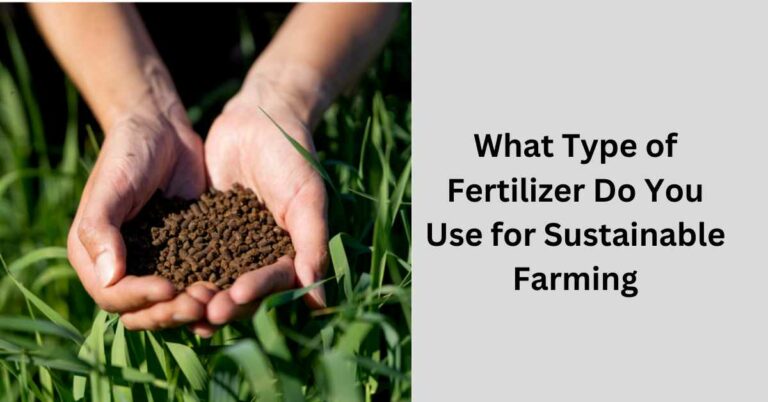 What Type of Fertilizer Do You Use for Sustainable Farming?