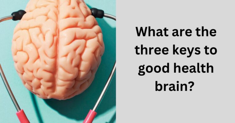 What are the three keys to good health brain? – Let’s Check!