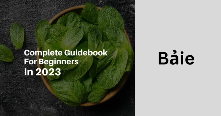 Bảie – Complete Guidebook For Beginners In 2023!    